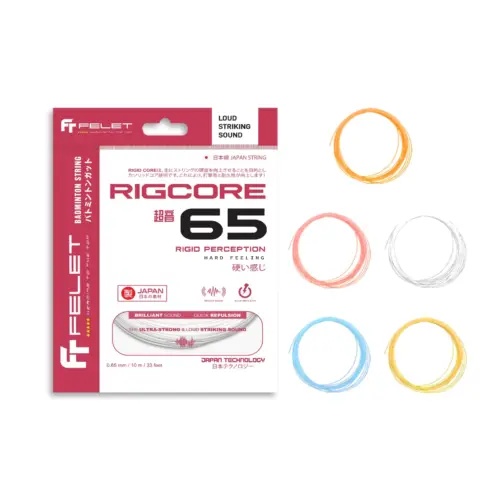 Felet Riggore 65 jänne